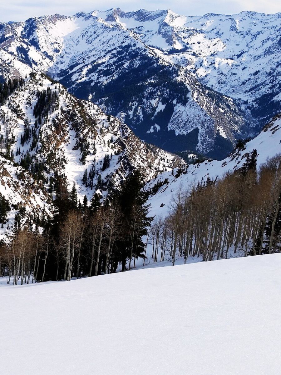 Where to Stay in Salt Lake City for Skiing (Alta Ski Area)