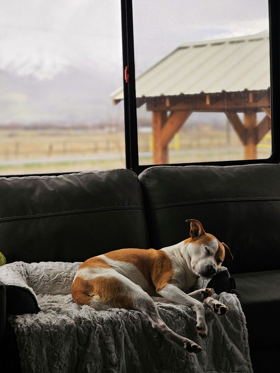 Exploring the World Through Couchsurfing