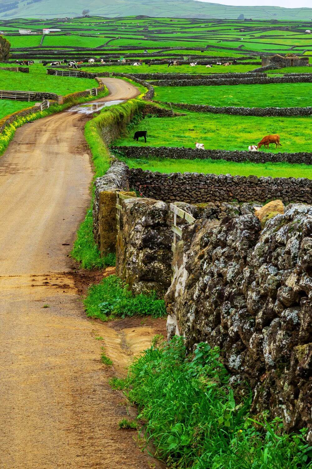 Where to stay Terceira Island Azores