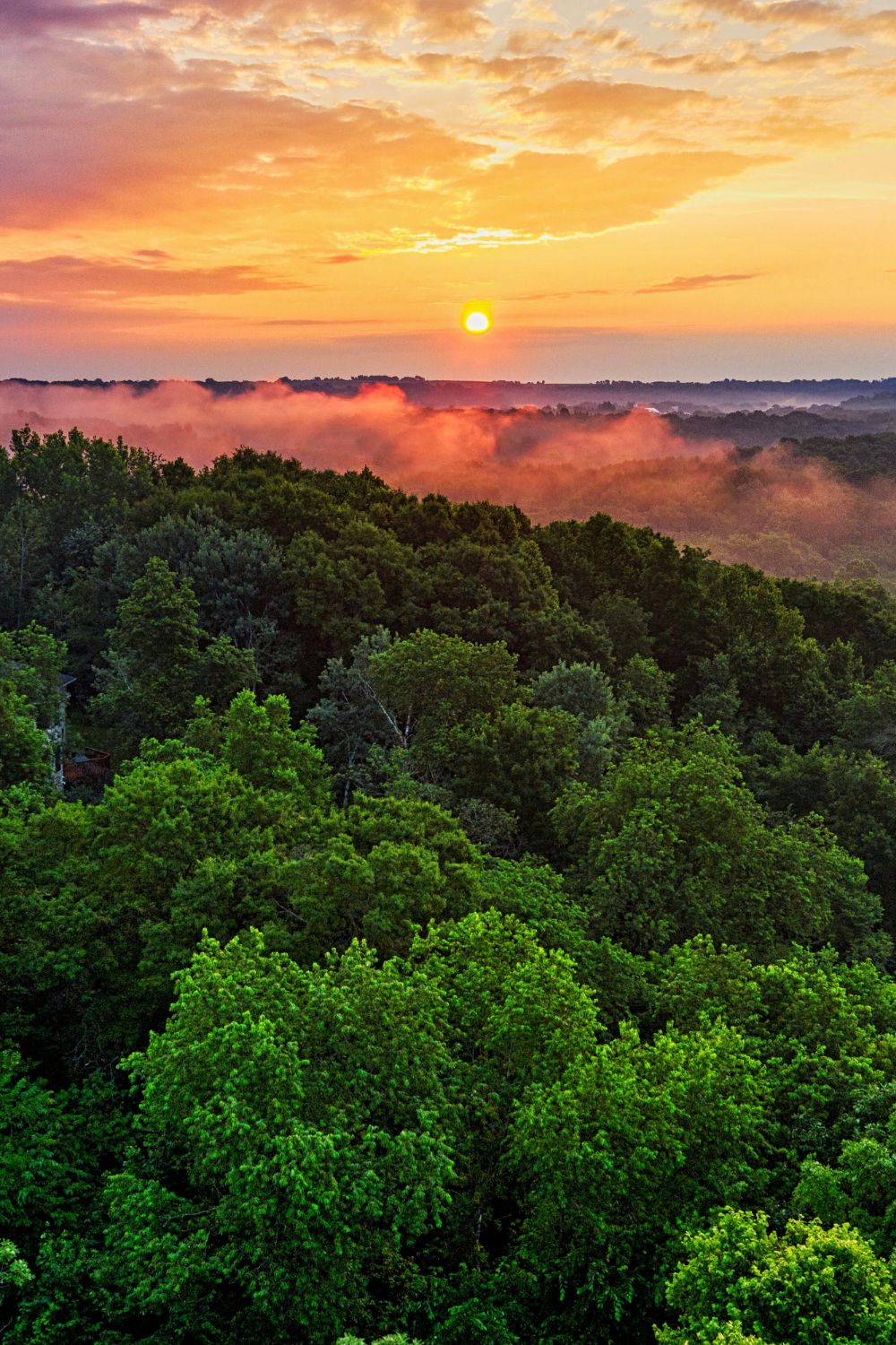 Amazon Rainforest, Brazil - Best Locations for Nighttime Wildlife Watching