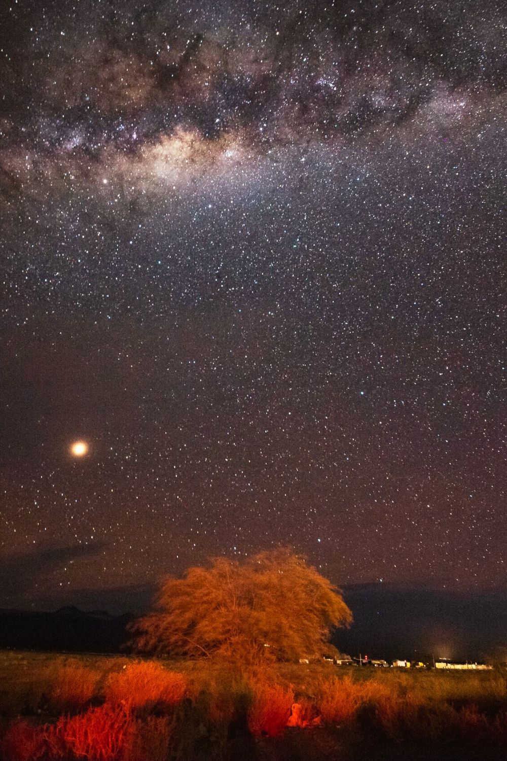 Best Places to Stargaze