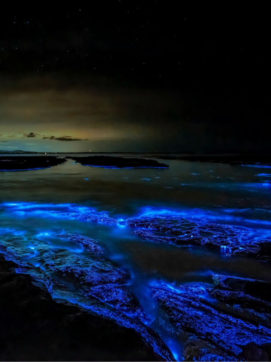 Bioluminescent Bay, Vieques, Puerto Rico - Natural Wonders Best Seen at Night