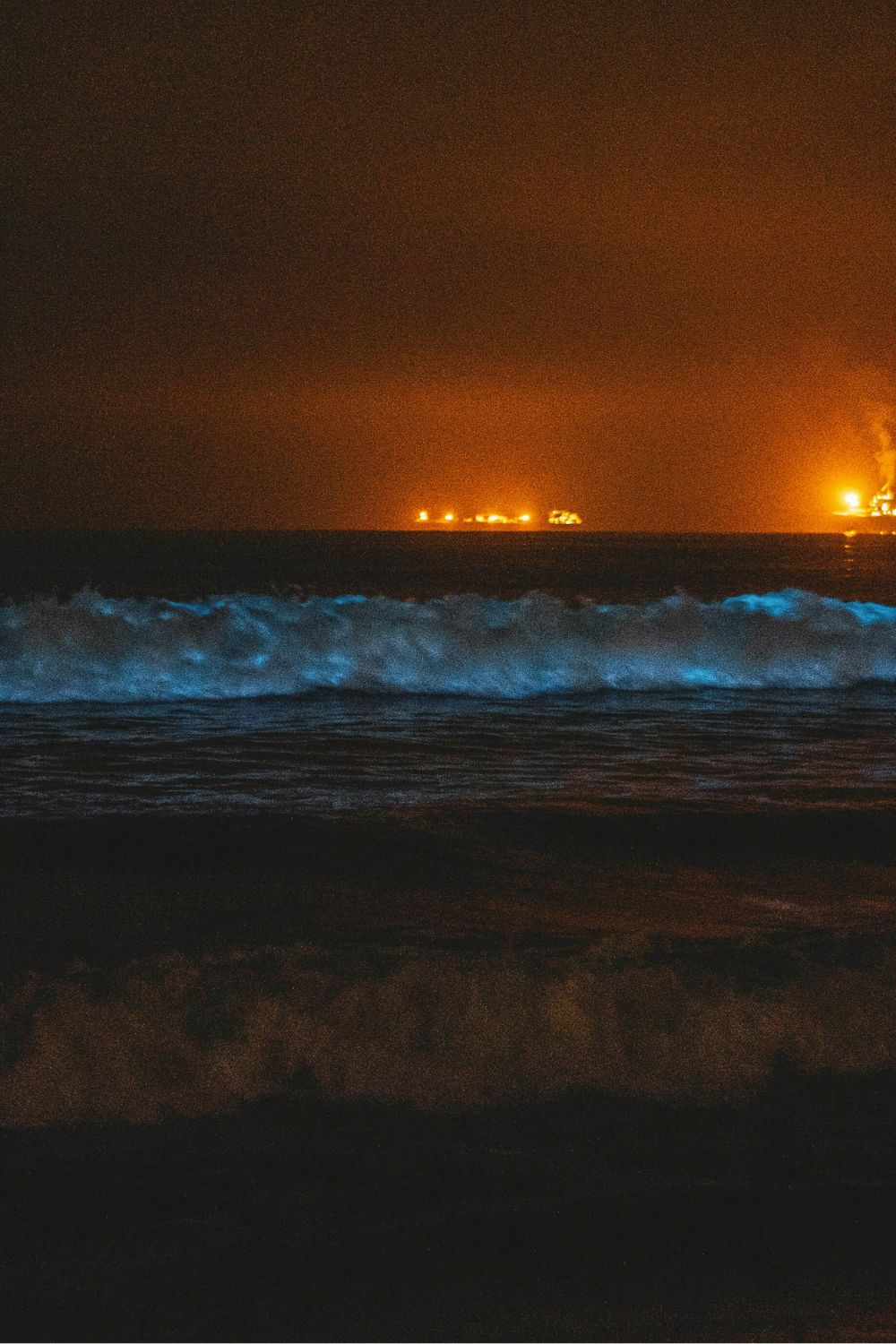 Glowing Beach, Juno, Alaska - Bioluminescent Beaches 
