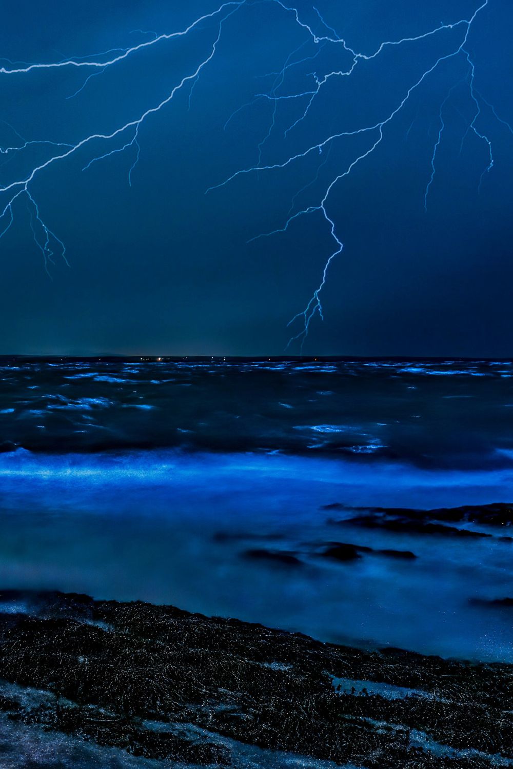 Laguna Grande, Fajardo, Puerto Rico - Bioluminescent Beaches 