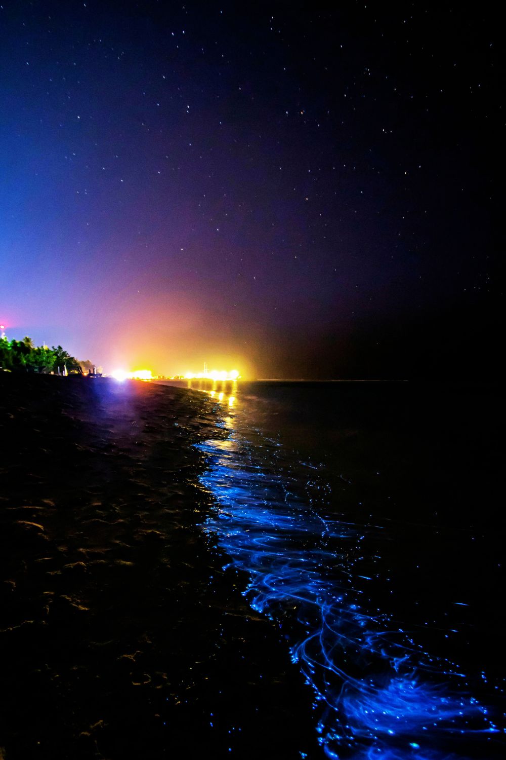 Mosquito Bay, Vieques, Puerto Rico - Bioluminescent Beaches 