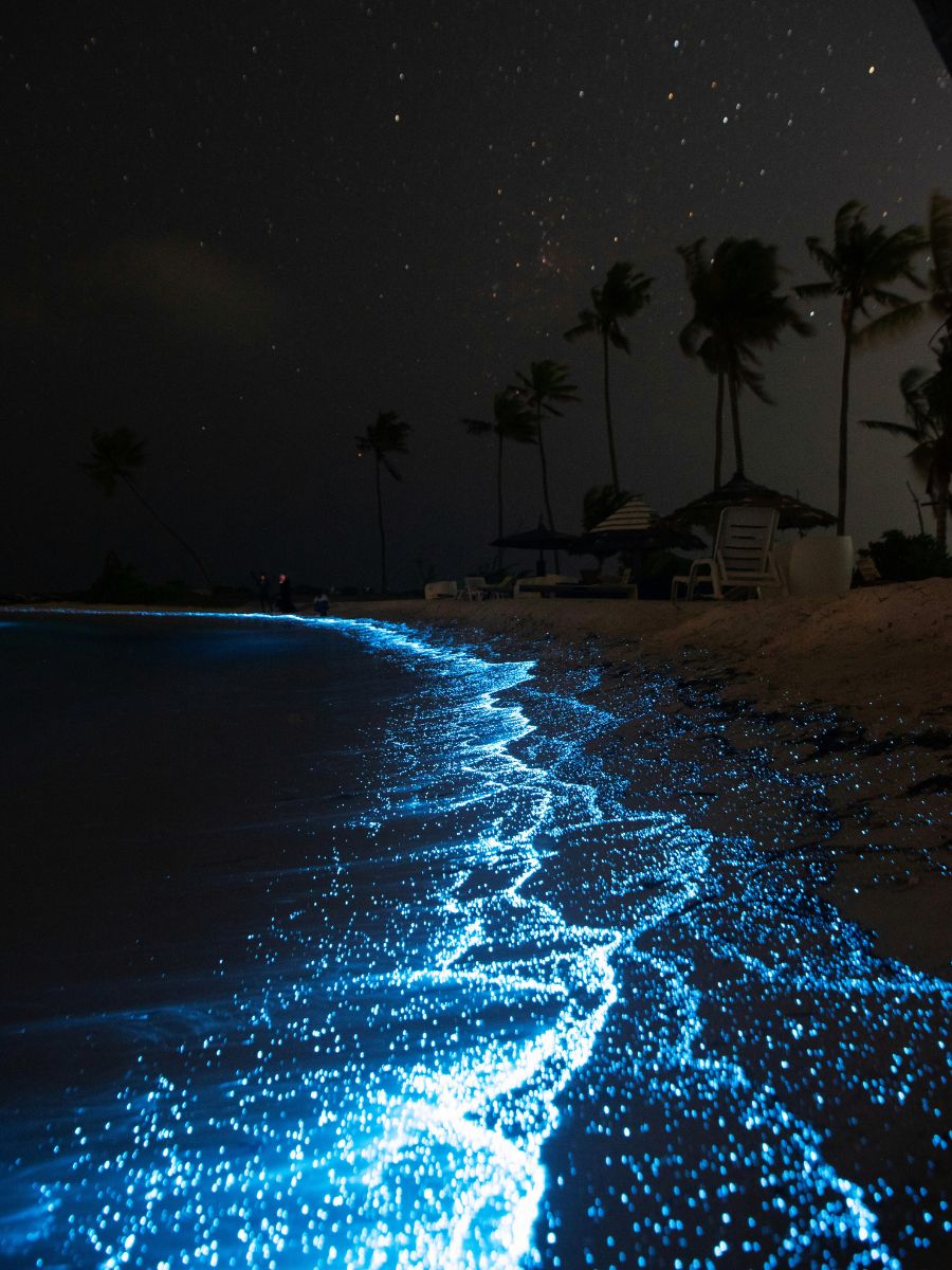 Natural Wonders Best Seen at Night