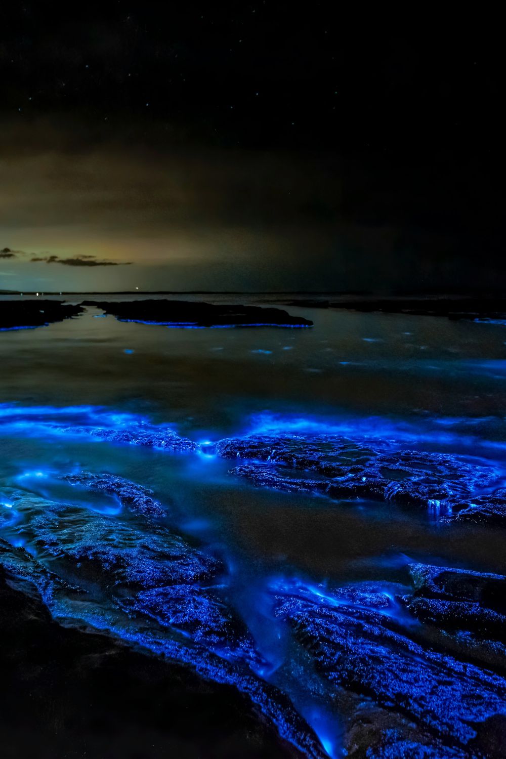 Palawan, Philippines - Bioluminescent Beaches 