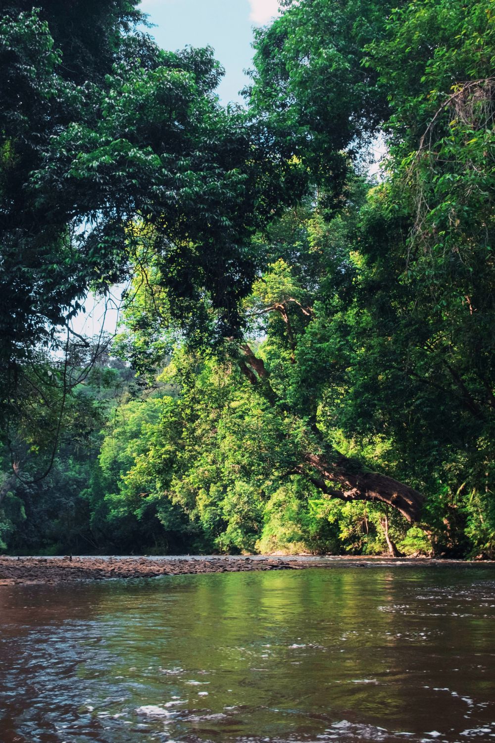 Taman Negara, Malaysia - Best Locations for Nighttime Wildlife Watching