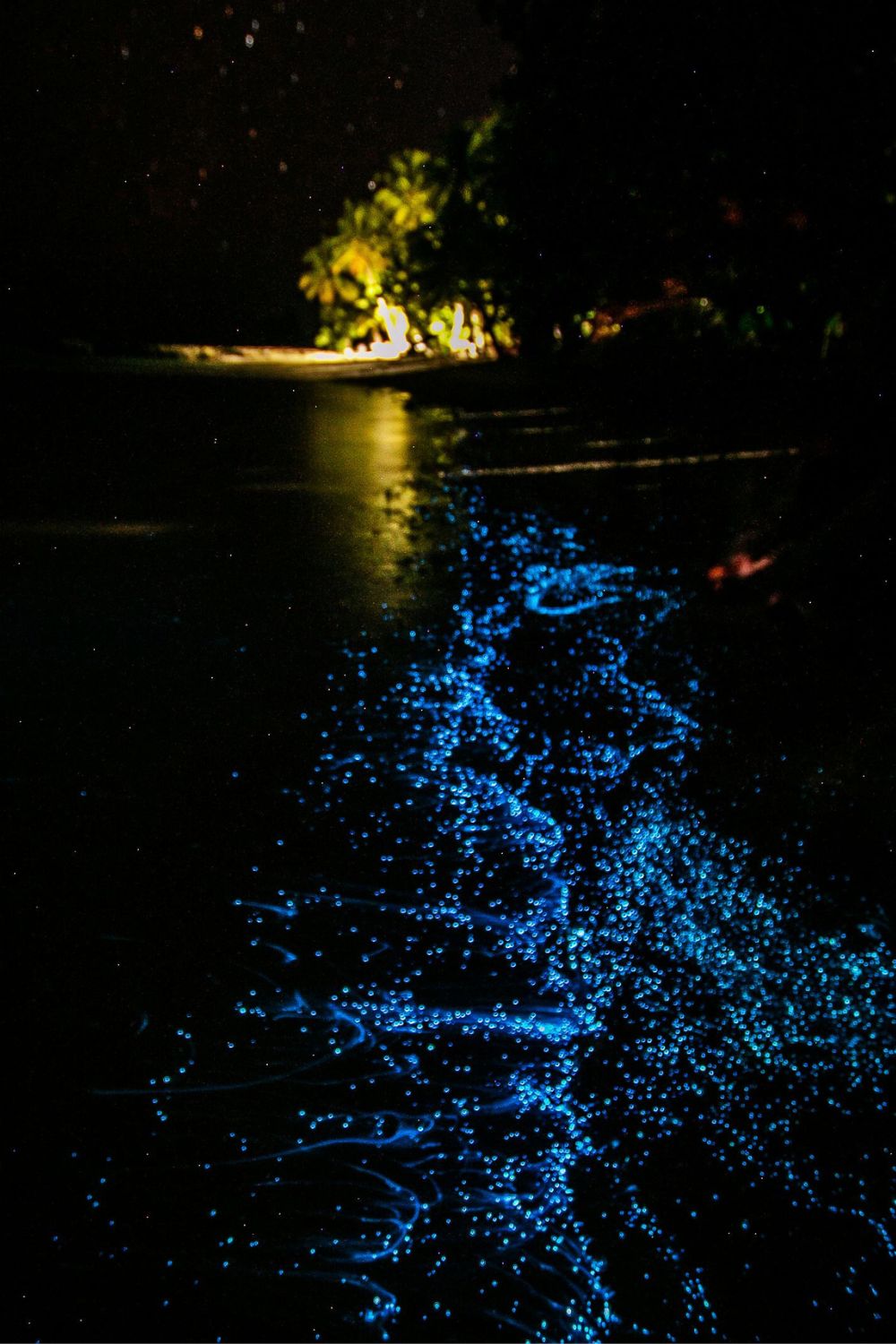 Vaadhoo Island, Maldives - Bioluminescent Beaches 