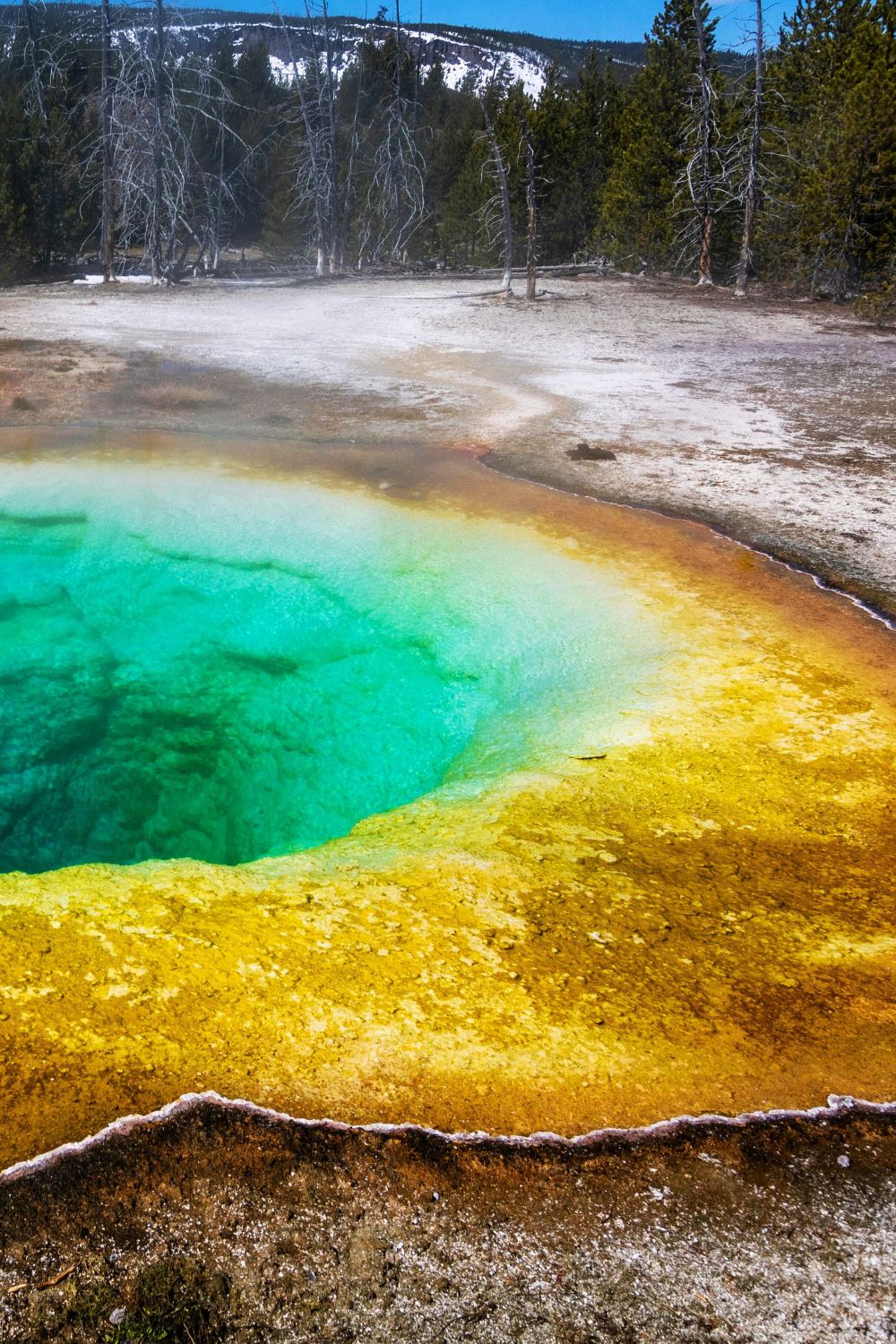 Yellowstone National Park, USA - Best Locations for Nighttime Wildlife Watching