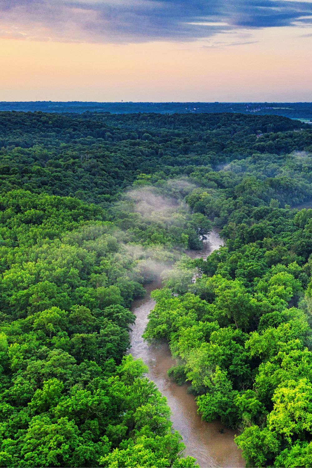 Exotic Rainforests Worth Exploring