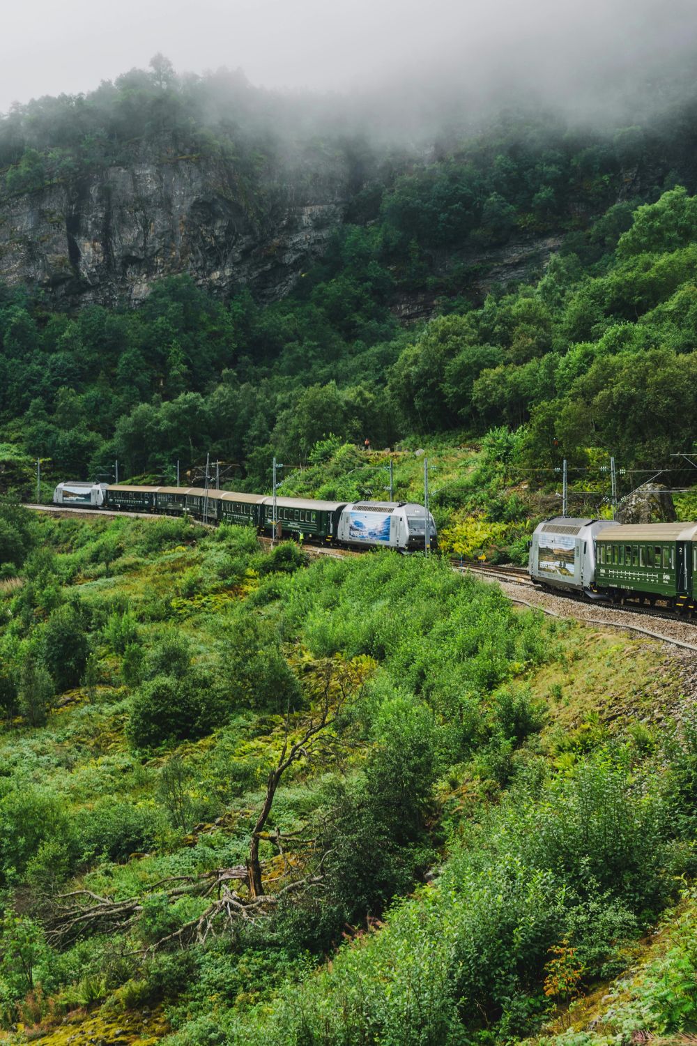 Scenic train Journeys - Flam Railway, Norway