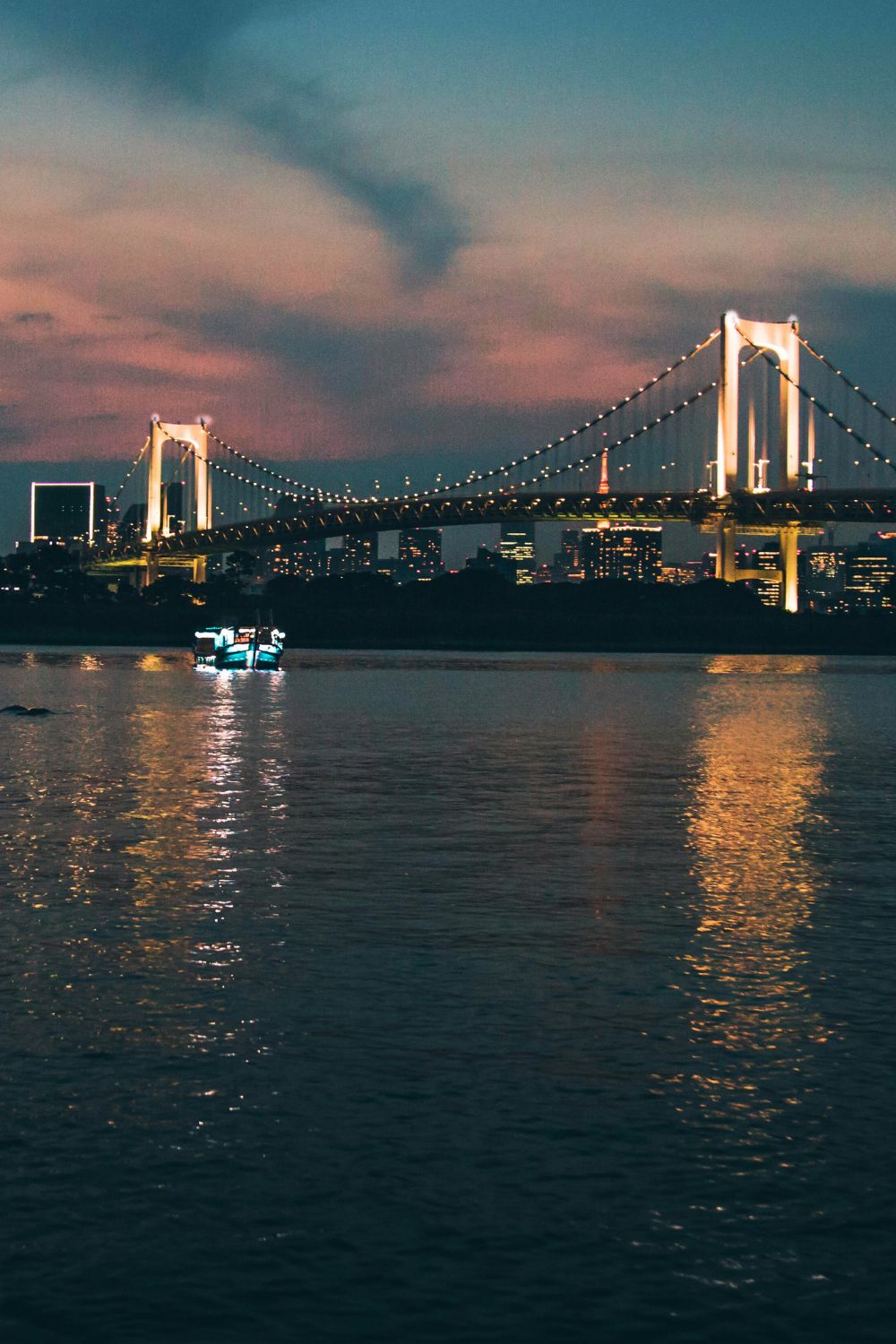 Nighttime Boat Tours Around the World - Tokyo Bay, Japan